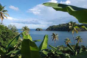 Dominica Increased Investment Amounts
